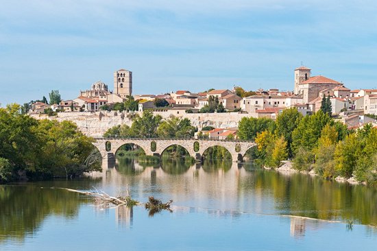Zamora