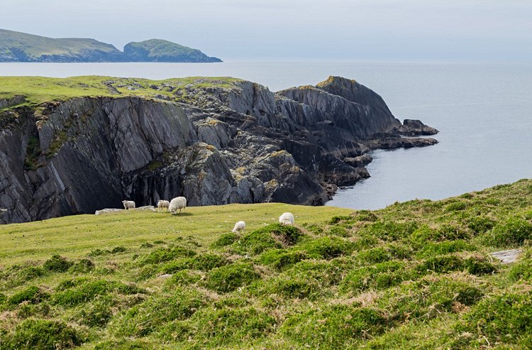 Dursey Island et son cable car 2