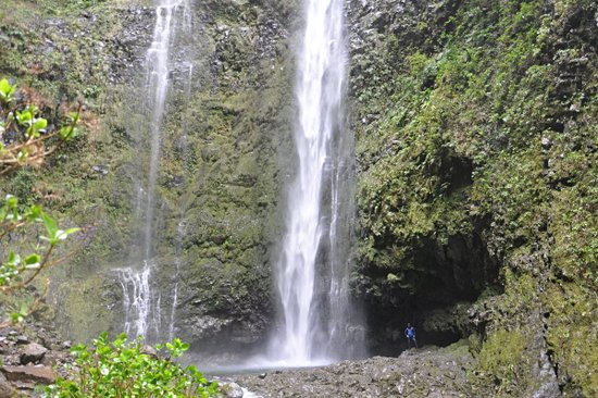 PR17 : Caminho do Pinaculo e Folhadal