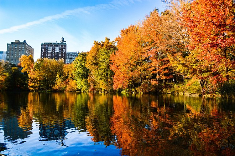 Central Park 3