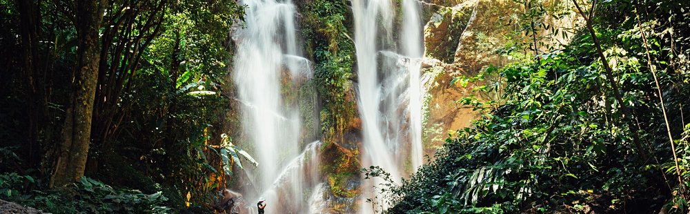 Randonnée de Bamboo Trail