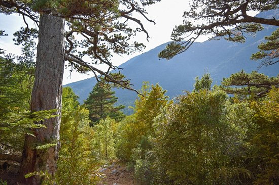 Parc national Llogara