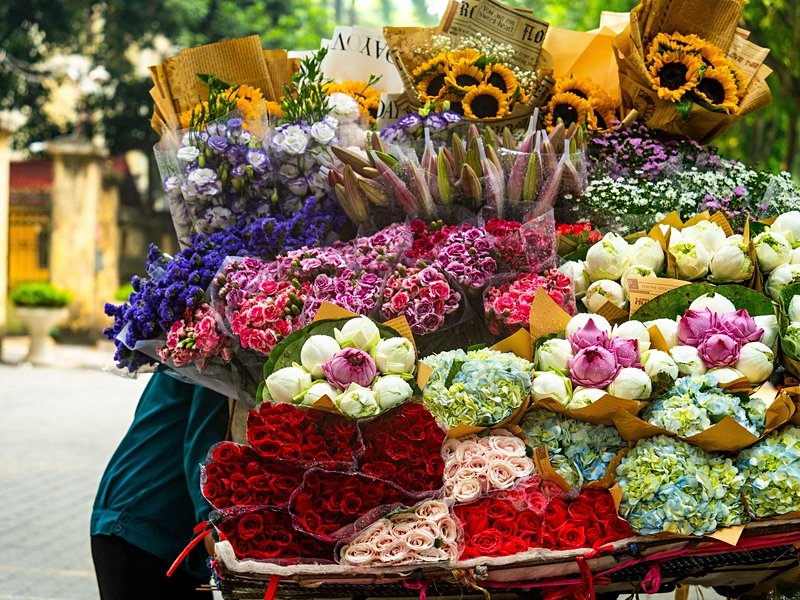 Quartier des 36 corporations