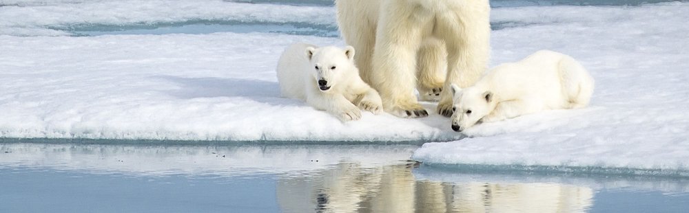 Svalbard