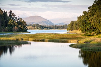 Cairngorms