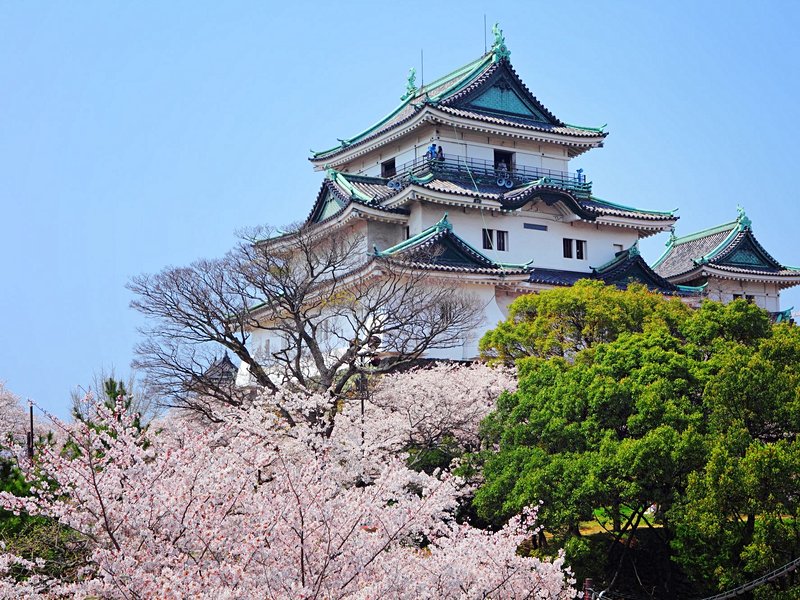 La ville de Wakayama