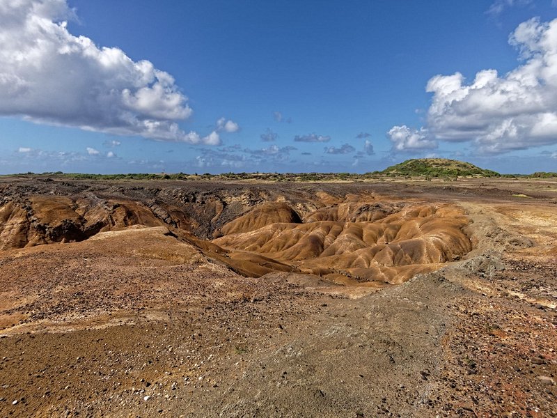 La Savane des Pétrifications