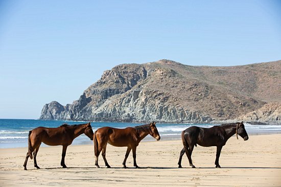 Todos Santos