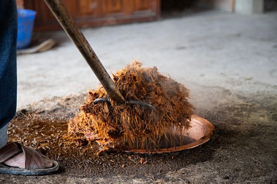 Visiter une palenque