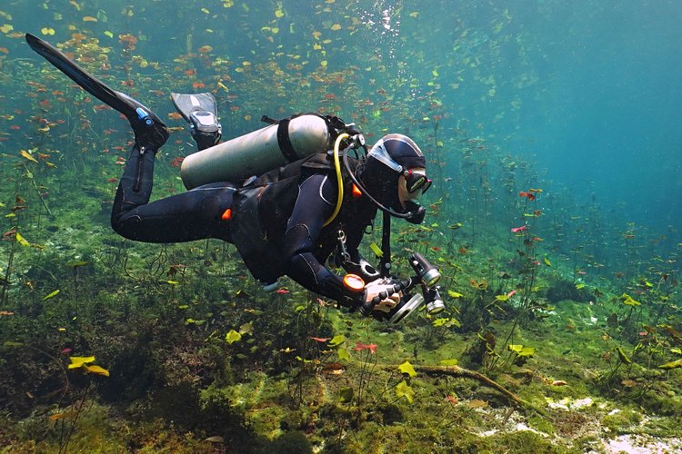 Faire de la plongée sur le récif de la Riviera Maya 3