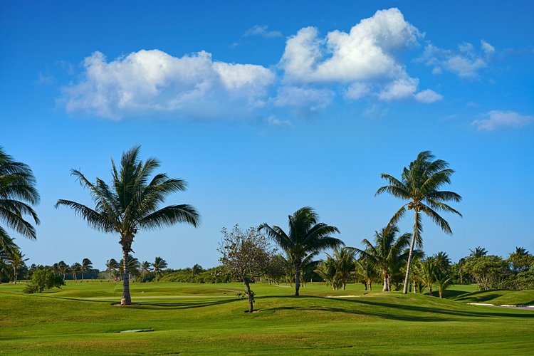 Faire une partie de golf sur la Riviera Maya
