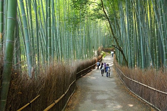 Arashiyama