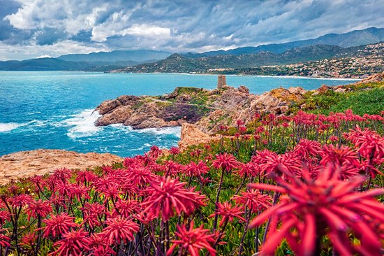 Cap Corse