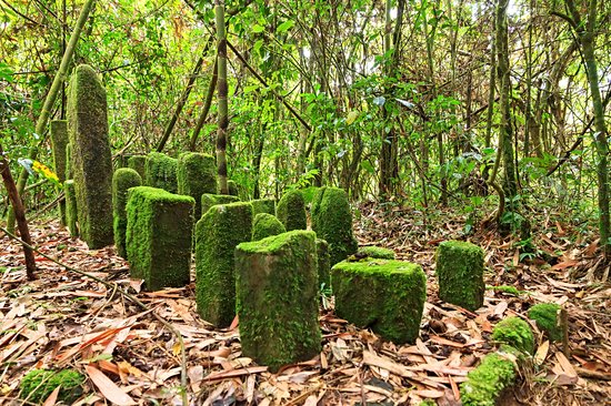 Parc national de Ranomafana