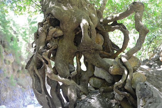 Gorges d'Agia Irini