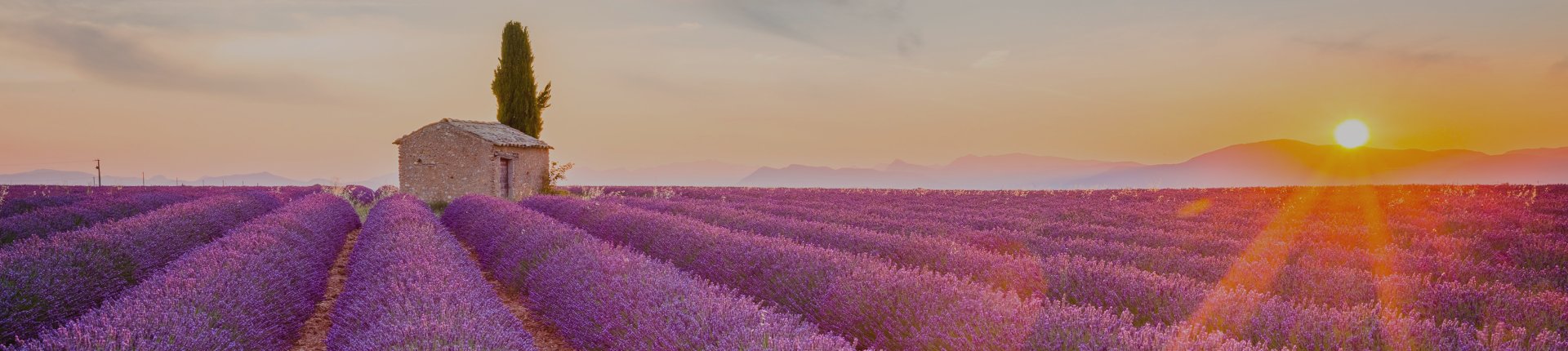 Provence