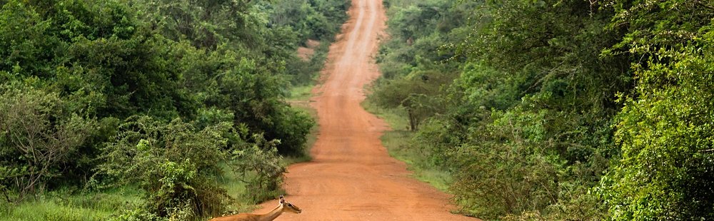 Parc national du lac Mburo
