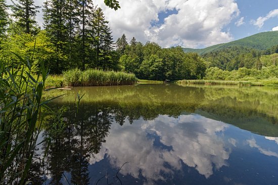 Parc national des Poloniny