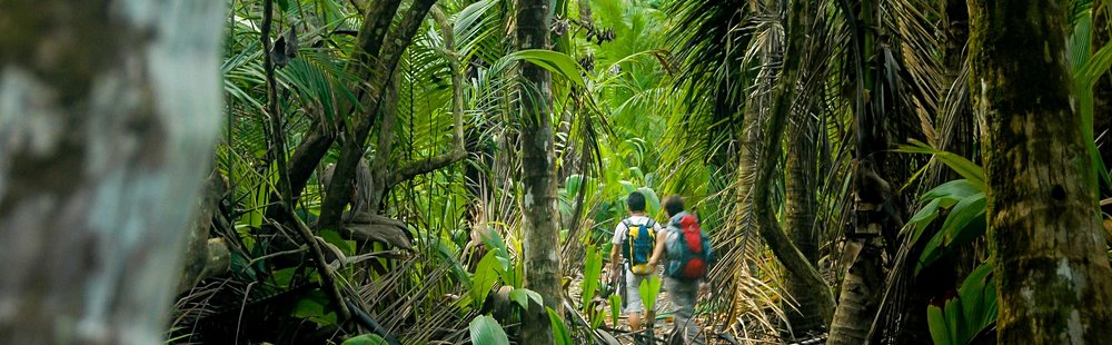 Le Parque Nacional Corcovado