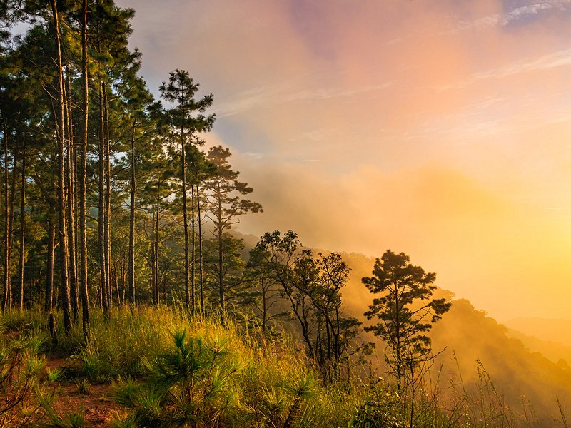 Parc national de Doi Suthep-Pui