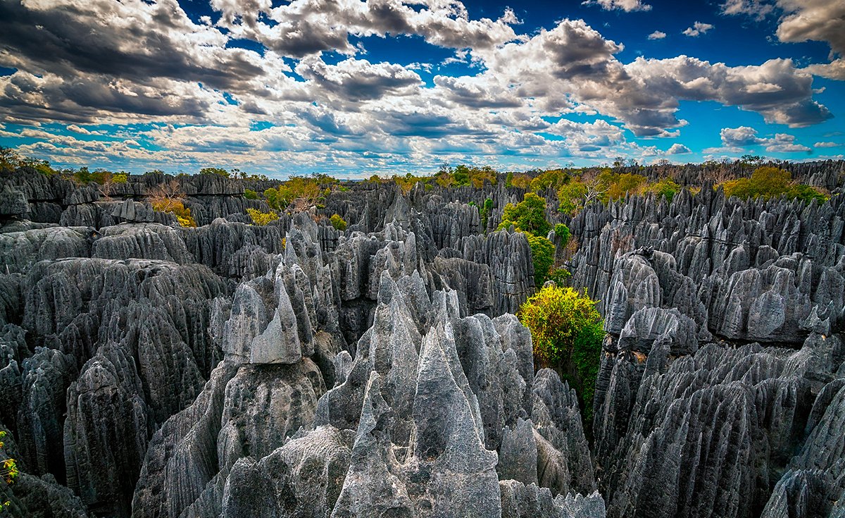 Explorer le parc national des Tsingy de Bemaraha