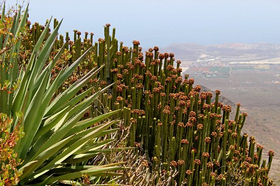 Mirador de la Centinela