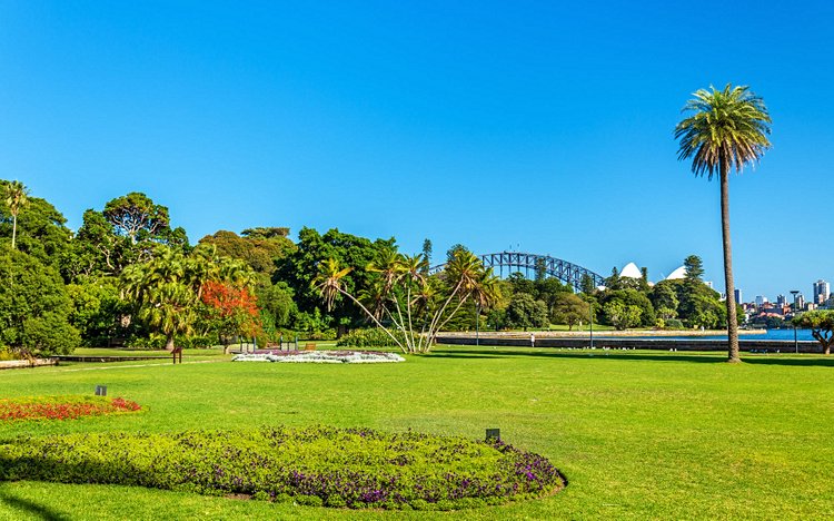Royal Botanic Gardens 2