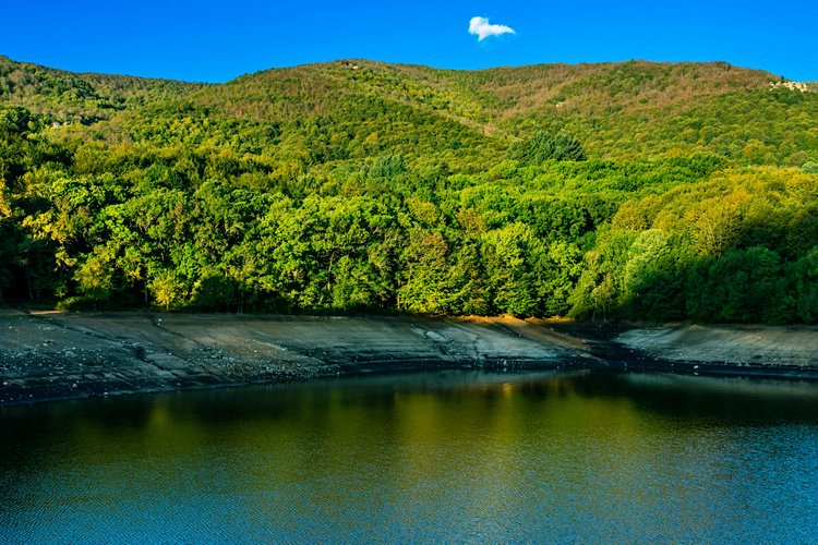 Le parc naturel de Montseny