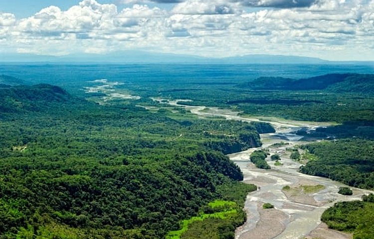 L'Amazonie colombienne