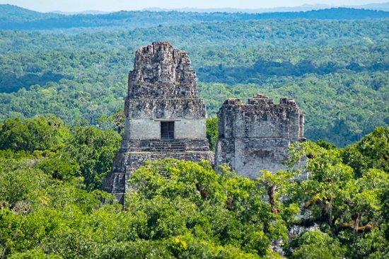 Explorer une cité maya monumentale enfouie dans la jungle
