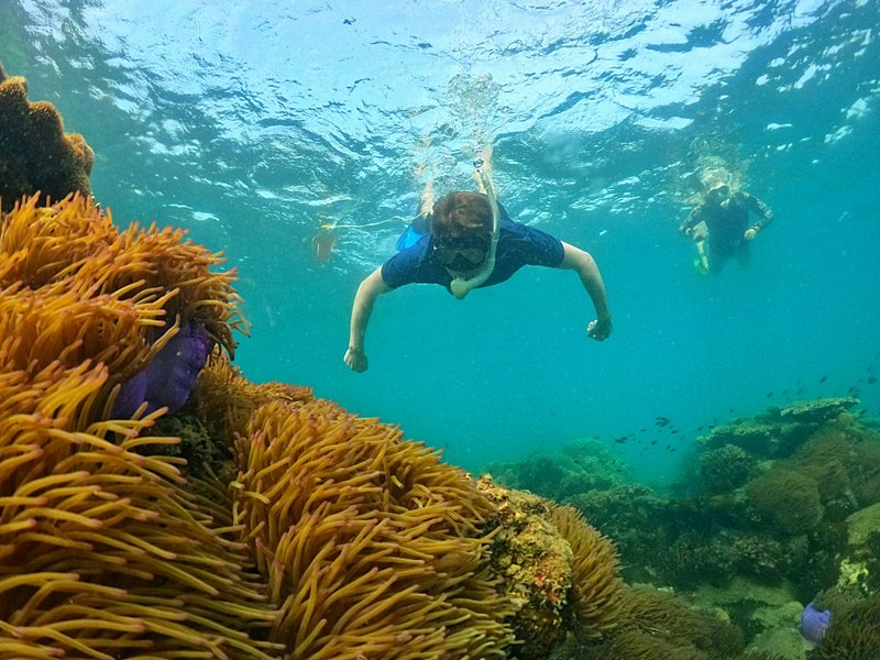Faire du snorkeling et de la plongée