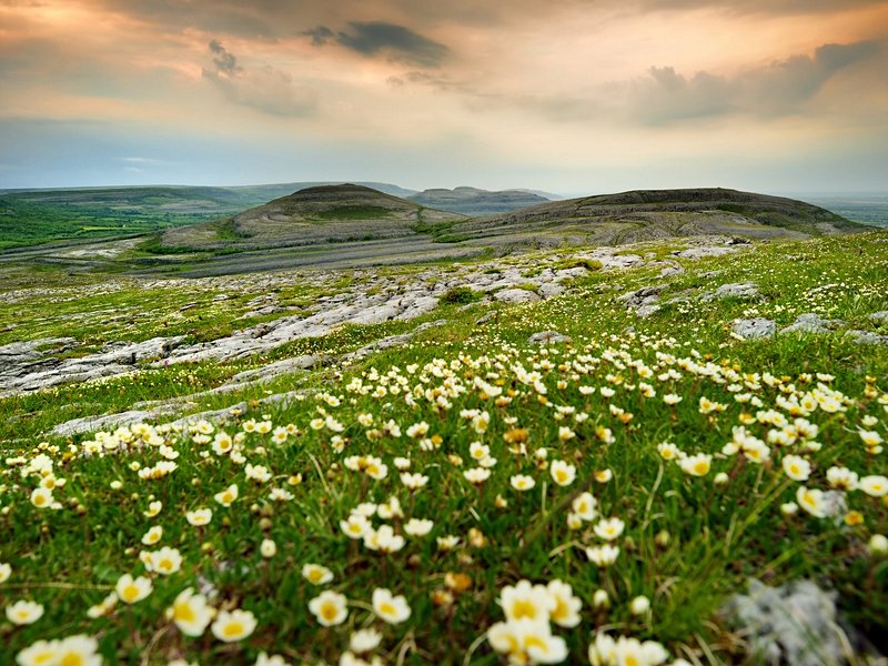 Parc national du Burren