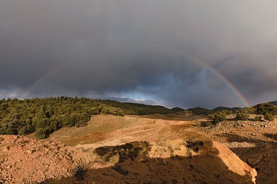Parc national d'Ifrane