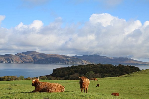 itineraire Irlande 7 Jours