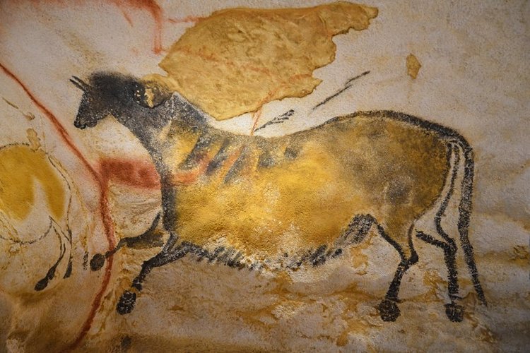 Sites de Lascaux : le best de l'art pariétal