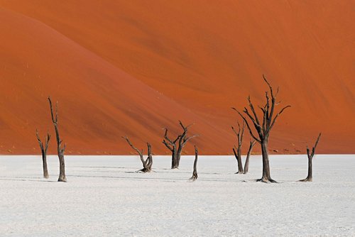 Les plus beaux paysages