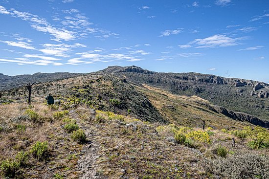 Parc national du mont Elgon