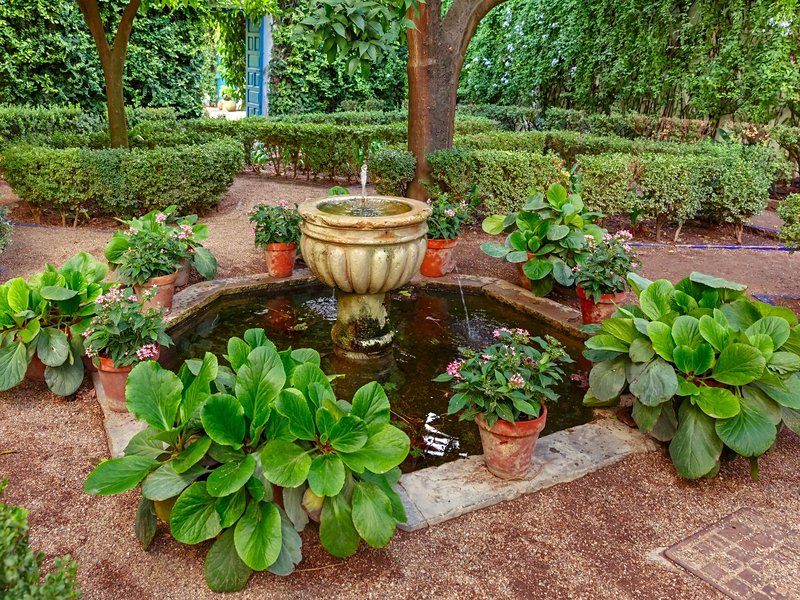 Jardin botanique royal de Cordoue