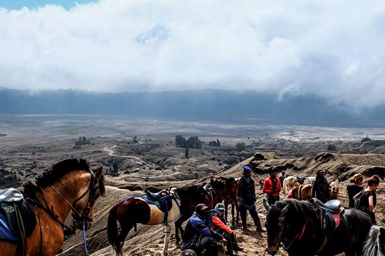 Parc national de Bromo-Tengger-Semeru