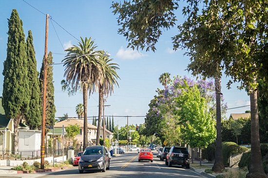 Melrose