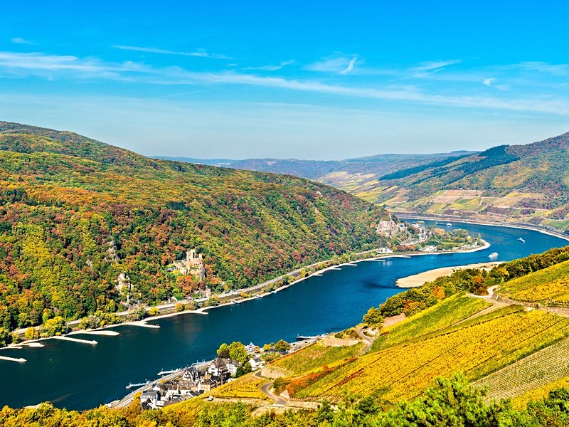 La rando romantique : le méandre de l’or du Rhin