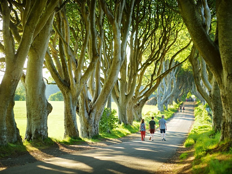 Le phénomène international de Dark Hedges