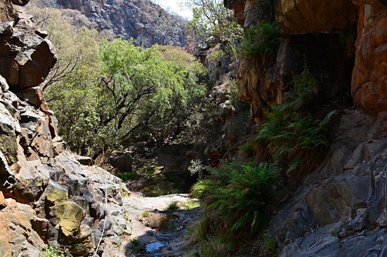 Mogonye Gorge