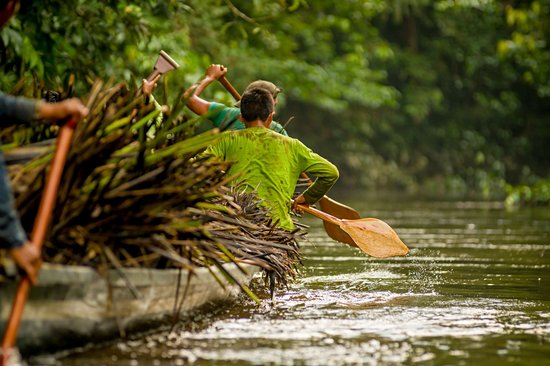 Parc national Yasuni