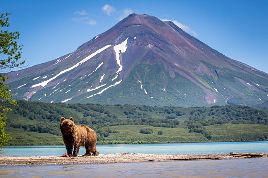 Le Kamtchatka
