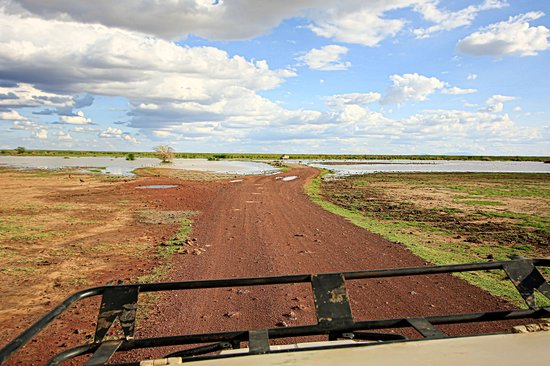 Lac Manyara