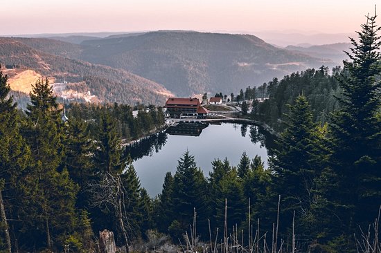 La rando bucolique : le Hornisgrinde