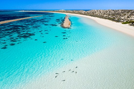 Coral Bay