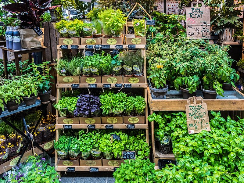 Le marché couvert de Torvehallerne