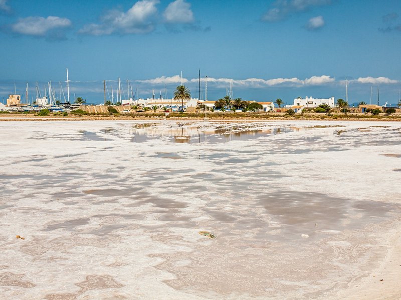 Réserve naturelle de Ses Salines
